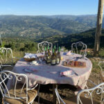 Prova de vinhos - Douro View by Feel & Soul (Esplanada - Sazonal)